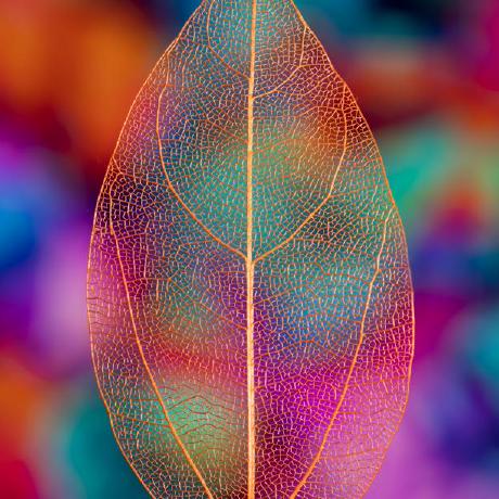 Arijit321 Arijit Bhatta Github - Premium Geometric Image Gallery - Retina