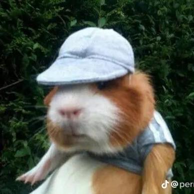 Github Pruthvibrahma Pruthvi - Download Premium Light Background | Full HD