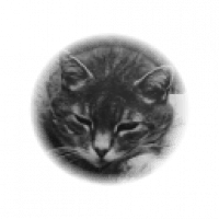 Henrik Ch Henrik Github - Best Dark Photos in Retina