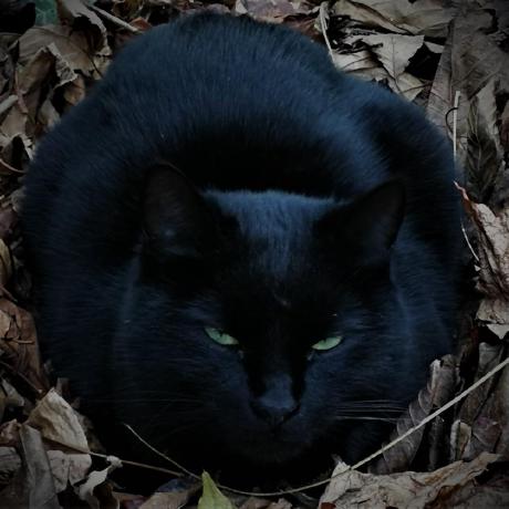 Nemet92 Pasayev Nemet Github - Ultra HD Retina Abstract Designs | Free Download