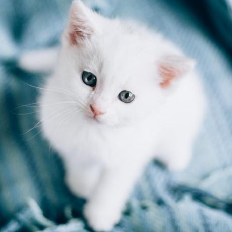 Zhm Project Github - Best Light Textures in HD