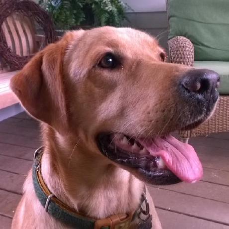 G Burnett Gary Burnett Github - Ultra HD Dark Pattern - Retina