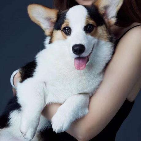 Yun Hao Github - Best Sunset Backgrounds in Desktop