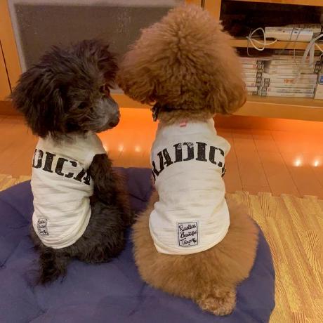 Takefumi Yoshihara Takefumi Yoshihara Shm Github - Abstract Illustration Collection - High Resolution Quality