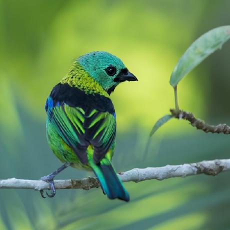 Github Joon Stack Convai T5 Inpainter - Best Ocean Patterns in Retina