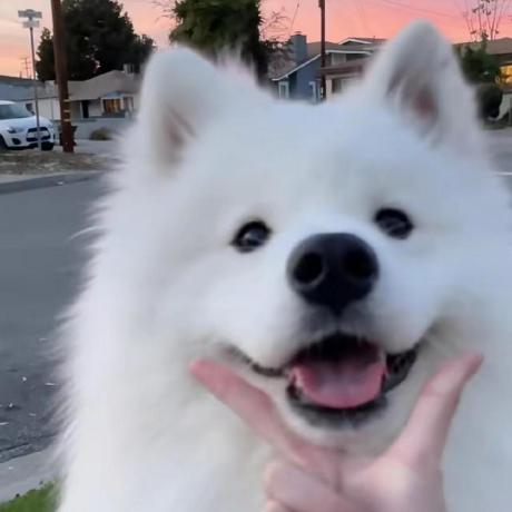 Johnadrianplaton John Github - Premium Colorful Background Gallery - HD