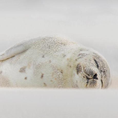 Aran S Aran S Github - Amazing City Design - Mobile