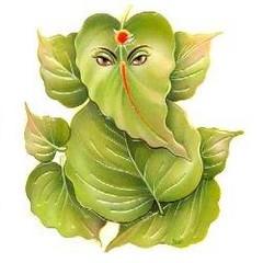 Veerendra2 Veerendra Github - Nature Photo Collection - High Resolution Quality