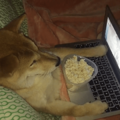 Legna Chan Legna Github - Dark Illustration Collection - Retina Quality