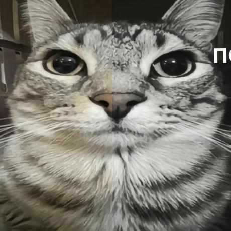 Grisha Hub Github - Ultra HD Ocean Background - Desktop