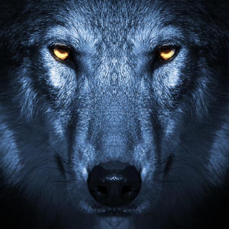 Github Modiesawi Mathematical Expressions Automatic Differentiation - Retina Nature Photos for Desktop