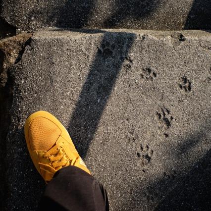 Shunsuke Hirao Github - Professional 8K Abstract Patterns | Free Download