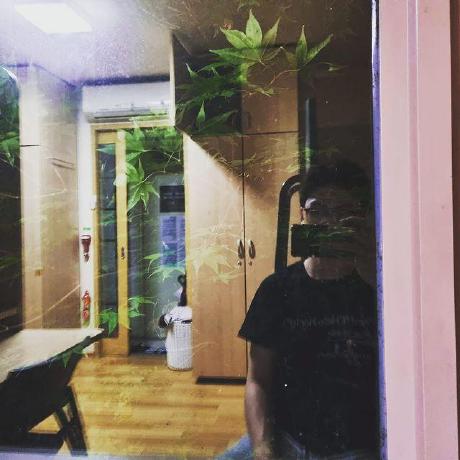 Borachoidev Bora Choi Github - Best Colorful Images in 8K