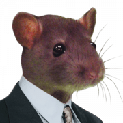 Github Spoorloos Spoorloos - Full HD Landscape Designs for Desktop