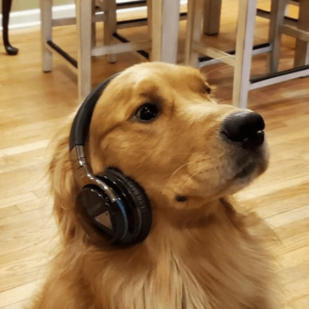 Trentmwillis Trent Willis Github - HD Space Pictures for Desktop