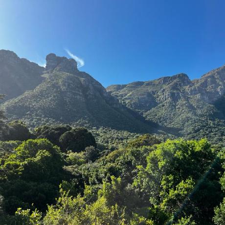 Kylebarlow Kyle Barlow Github - Perfect High Resolution Gradient Arts | Free Download