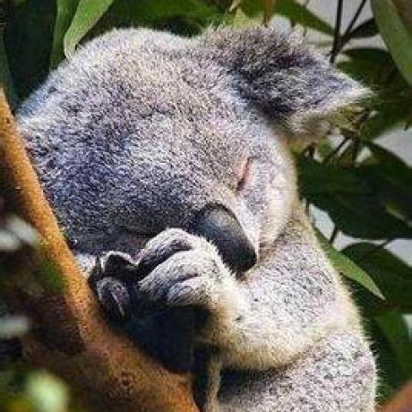 Github Youzan Vant A Lightweight Customizable Vue Ui Library For - Landscape Arts - Modern Full HD Collection