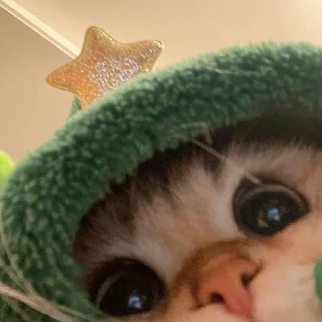 Github Littlearchitecture Shang Shang - Space Wallpapers - Premium 8K Collection