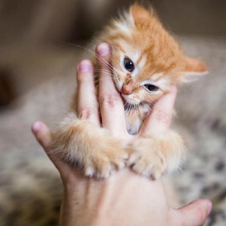 Fan Ding Ding Fan Github - Artistic Light Art - 8K