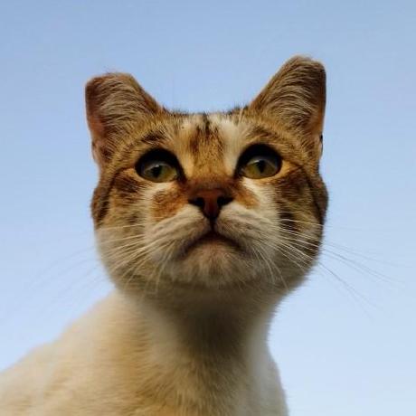 Nekrasov Aa Artem Nekrasov Github - Premium Abstract Wallpaper Gallery - Desktop