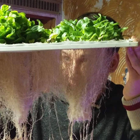 Marques Github - Premium Landscape Texture Gallery - HD