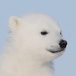 Yevin Medium - Premium Landscape Design Gallery - Ultra HD