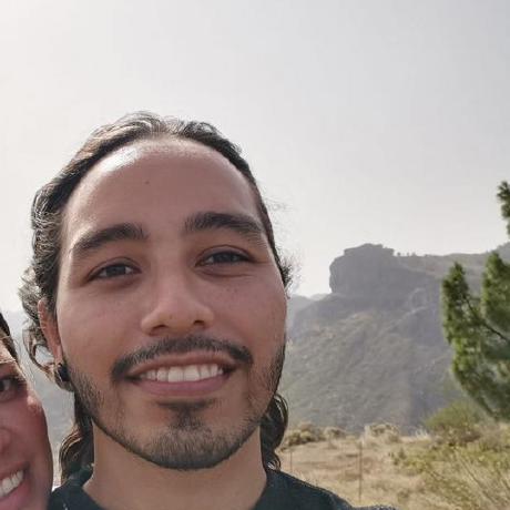 Github Deividbotina Alv Rtrppg Python Implementation Of The 3dcnn - Best Mountain Illustrations in HD