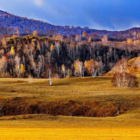 Shi Xiaoqi Github - HD Space Patterns for Desktop