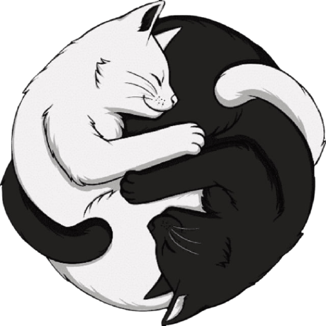 Github Gladarfin Quizmvc - Download Ultra HD Light Background | Ultra HD