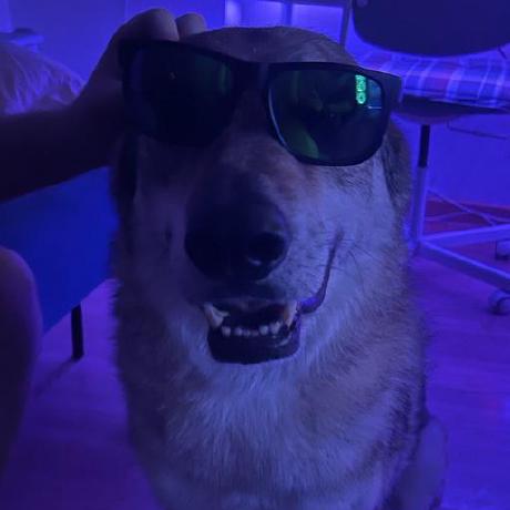 Github Gsilvan Rocky Linux Documentation Official Rocky Linux - Artistic HD Colorful Photos | Free Download