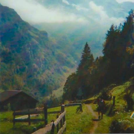 Zxf Felix Zhu Github - Minimal Pattern Collection - 4K Quality