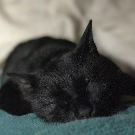 Github Shinichi Miyazaki Igor - Mobile Gradient Textures for Desktop