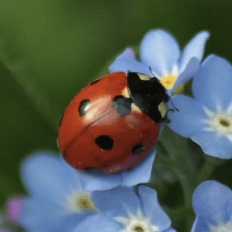 Scummc Tools By Lebostein - 8K Landscape Backgrounds for Desktop