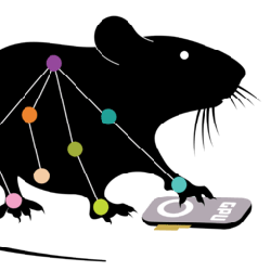 Github Deeplabcut Deeplabcut Official Implementation Of Deeplabcut