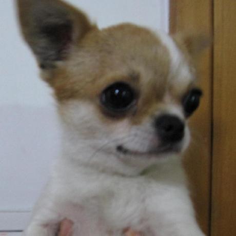 Github Xmos Sw Usb Audio Xmos Usb Audio Reference Design - Premium City Pattern Gallery - HD