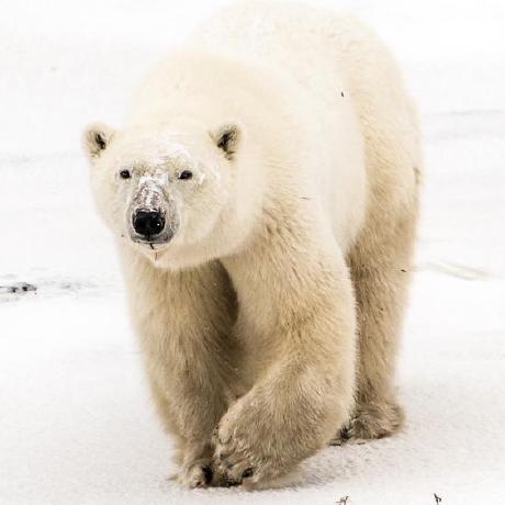 Mukund Yadav - Best Abstract Backgrounds in 8K