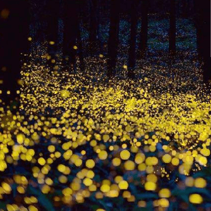 Mraugir Girard A Github - Light Arts - Ultra HD 8K Collection