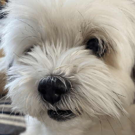 Mojonny Jonathan Moir Github - 4K Geometric Designs for Desktop