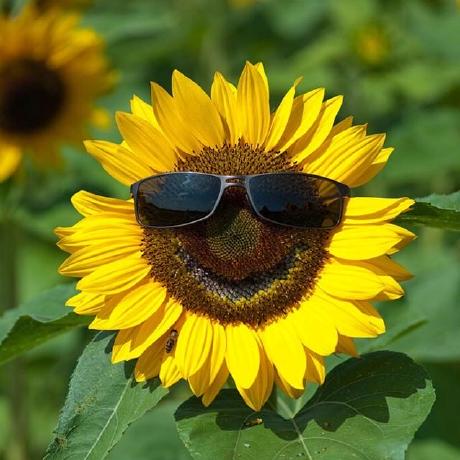 Andyvlasenko Andy Vlasenko Github - Dark Art Collection - HD Quality