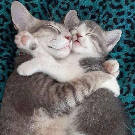 Limlogging Hyeongsub Lim Github - Stunning 8K Minimal Images | Free Download