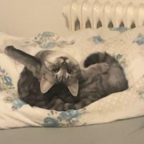 Github Jmarcos Cano Dockemu - Gorgeous Geometric Background - Retina