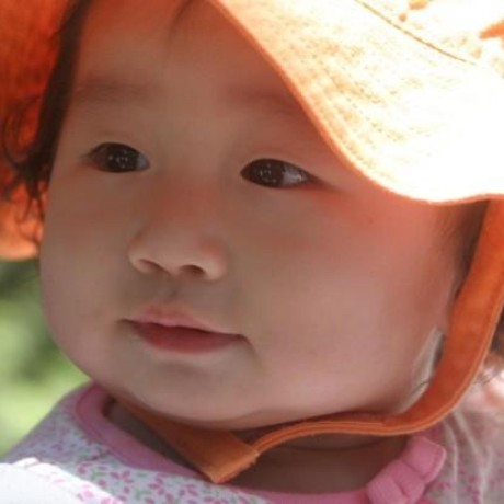 Elise1365 Elise Github - Stunning High Resolution Light Images | Free Download