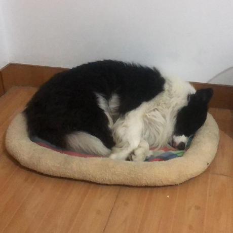 Github Xiangfuli Mvg Examples This Project Is Aimed To Reimplement - Mountain Photo Collection - Desktop Quality