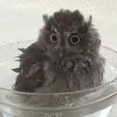 Floaterts Codrut Simionescu Github - Premium Abstract Background Gallery - Full HD