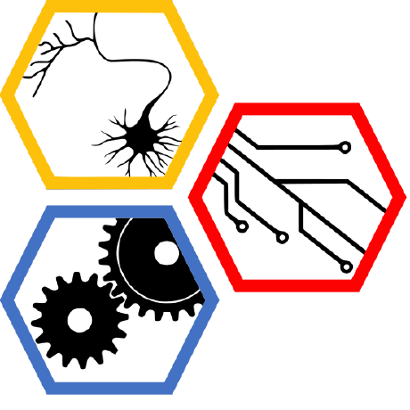 Github Cmu Borg Neuron Growth Morphometrics In Vitro - Ultra HD Minimal Arts for Desktop