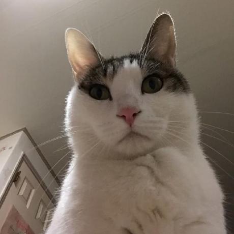 Laccd Seol Github - Best Gradient Illustrations in Full HD