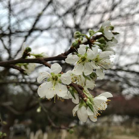 Krislaoli Mei Kristian Laoli Github - Sunset Designs - Gorgeous High Resolution Collection