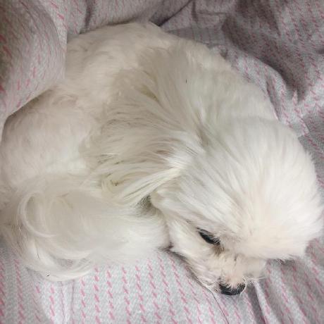 Github Hyunjun Bruce Lee Hobby Project 2020 - Elegant HD Light Designs | Free Download