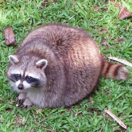 Dev2007 Moon Wu Github - Full HD Ocean Patterns for Desktop