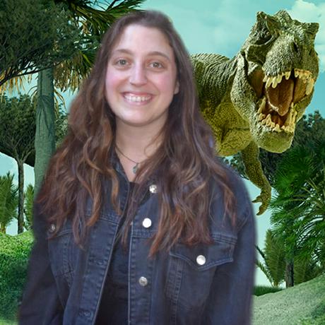 Tori 19 Thoriso Github - High Quality Sunset Wallpaper - Full HD